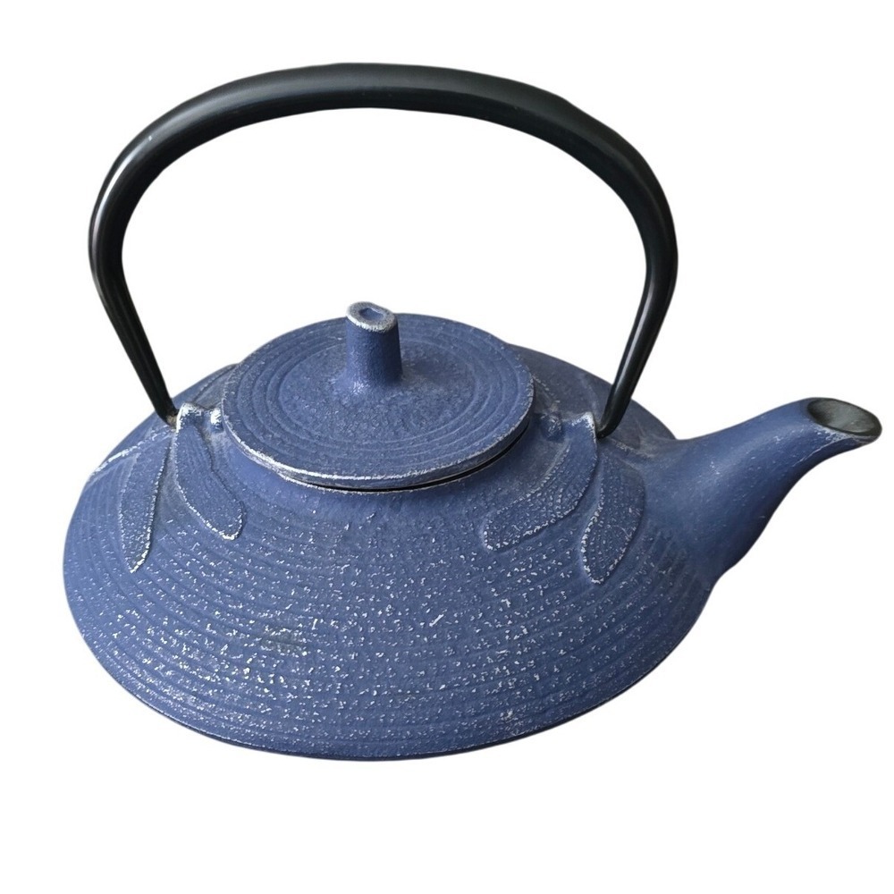 Iwachu Japanese‎ Cast Iron Teapot Blue Dragonfly Tetsubin Made in Japan